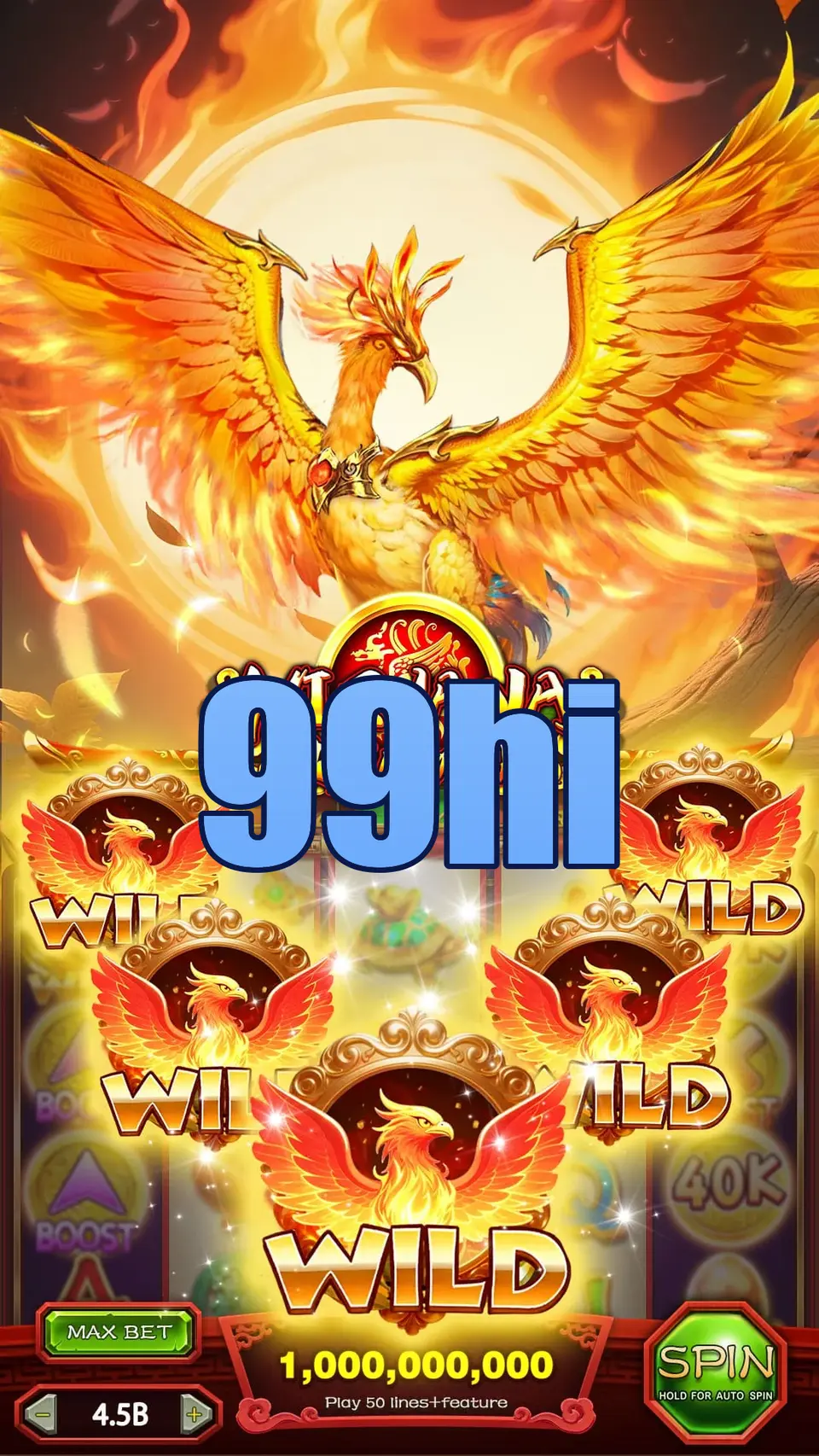 99hi Login